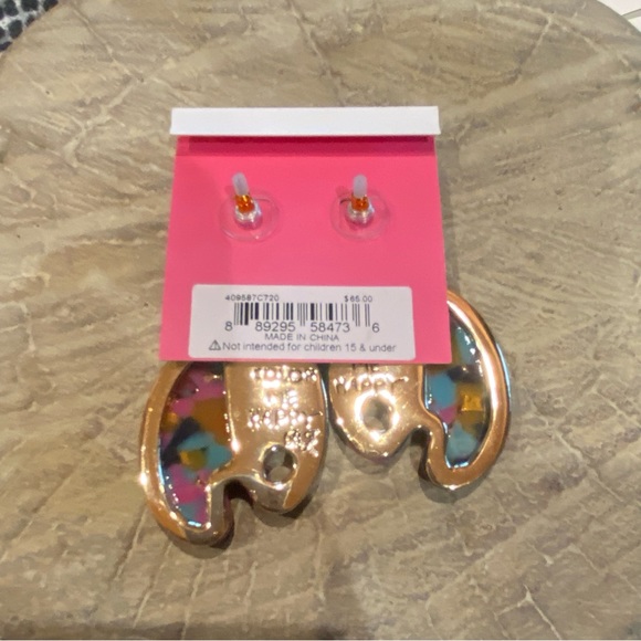 Betsey Johnson Artist Palette Paint Brush Color Me Happy Resin Drop Earrings NWT - Picture 7 of 7